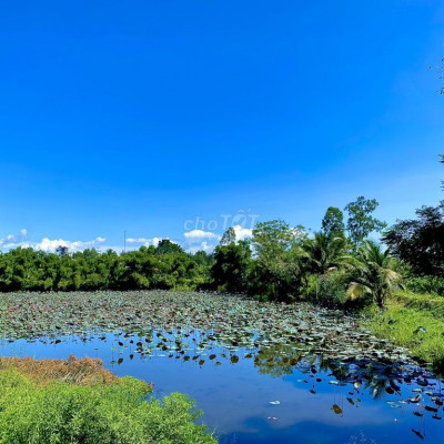 3 lô liền kề ngay đầm sen xã Điện Tiến giá 520tr, sổ hồng