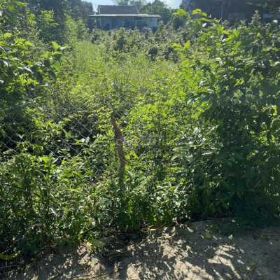 Đất SHR La Thọ 3 , Điện Hoà 125m2 , ko ngập nước lụt 650 triệu