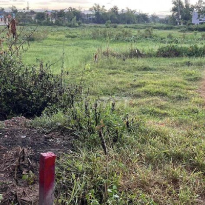 đất trồng cây có triển vọng cao sổ hồng chính chủ!