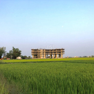 Sở hữu view Lúa mặt tiền Trần Nhân Tông - Hội An