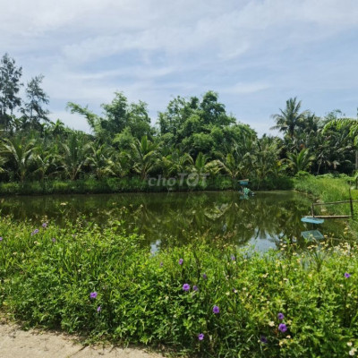 Giảm 30% sở hữu ngay mảnh đất View Hồ cực đẹp Cẩm Thanh