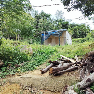 bán nhà vườn 3000m2 có 300 đất ở Đã trồng vườn cay ăn quả ,bòn bon