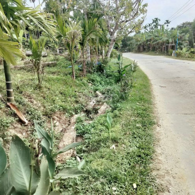 Chính chủ bán  đất trang trại Đã trồng cây ăn quả mặt tiền đường 47m