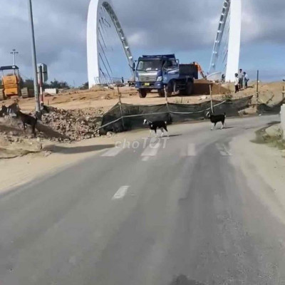 VỚI 50% VỐN ( 900% TR) SỞ HỮU NGAY ĐẤT NỀN SÁT FPT ĐÀ NẴNG