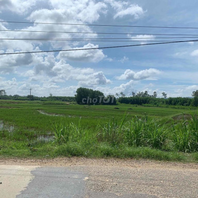 Bán gấp đất mặt tiền 14E đường 15m giá rẻ