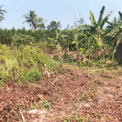 Cần bán lô Quế Mỹ đất vườn giá chỉ 1.2 tỷ diện tích 2652m2