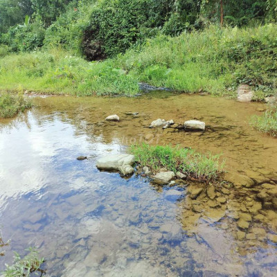 Chính Chủ cần bán vườn 5.000m2 có 300 đất ở + 7ha  70.000m2