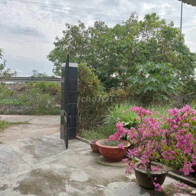 Cần cho thuê nhà vườn