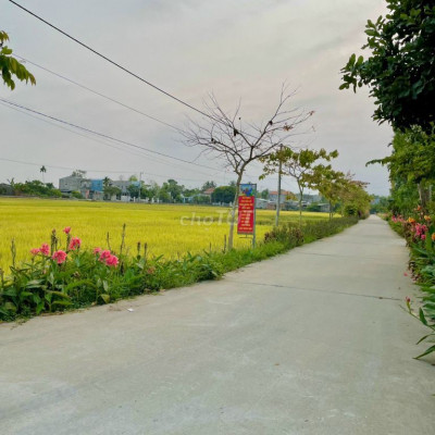 3 lô liền kề Điện Tiến ngay trục chính đầm sen chưa qua đầu tư chỉ 5XX