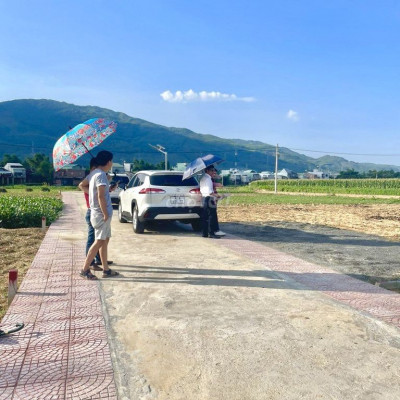 LÔ BIỆT THỰ 10m x 24,5m ( đất ở - sổ riêng ) gần chợ Phú Hương