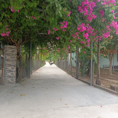 ĐẠI HỒNG - ĐẠI LỘC SÁT CHỢ GIÁ SẬP HẦM