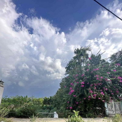 Cắt lỗ lô 180m2 Vân Quật Duy Thành đường thông, sát Trường Sa