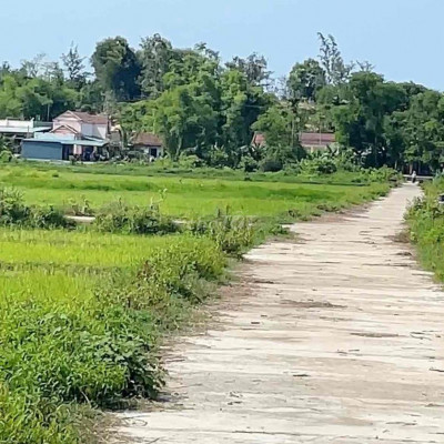 Hàng thơm quảng nam , 205 m2 giá chỉ 77 tr