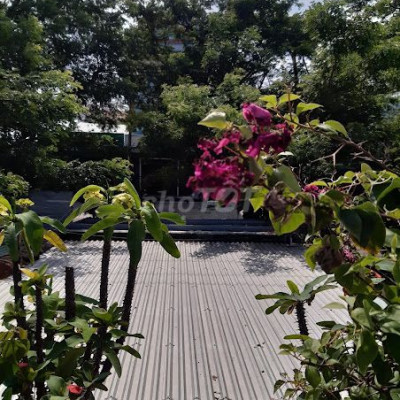 NHÀ 220M2 PHÙ HỢP THUÊ CHUYỂN PHÁT ĐƯỜNG NHỰA XE TẢI GẦN CHỢ ĐIỆN NGỌC