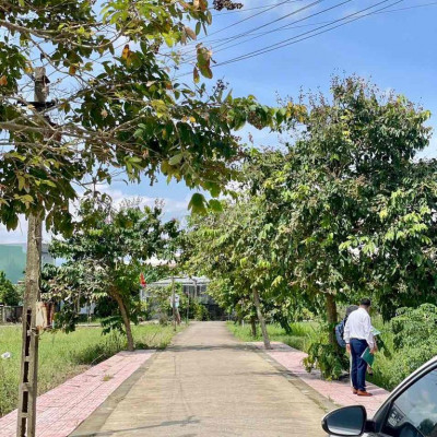 Đất đấu giá trung tâm Vĩnh Điện, Trần Thị Lý, 90m2, sổ đỏ từng lô