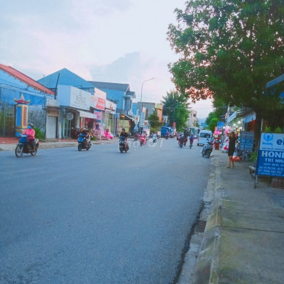 Ra mắt 12 lô đất nền liền kề, đi tìm miền đất hứa.