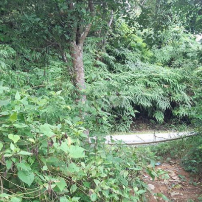 Đất mặt tiền đường nhựa 1200m2 tại thôn Đhami xã Ba huyện Đông Giang