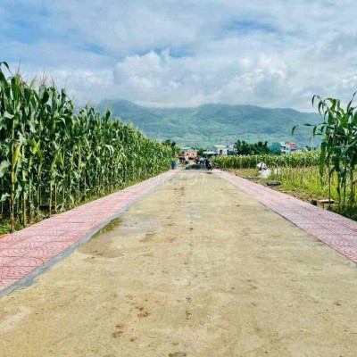 Chỉ 150tr (Hỗ trợ vay) có 1 lô trong BLock 17 lô mới ra sổ Đại Lộc