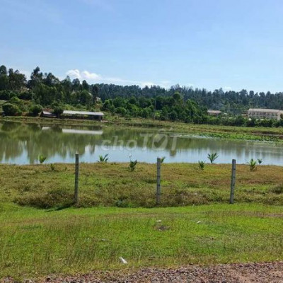 ĐẤT ĐIỆN BÀN GẦN TRƯỜNG CHỈ 319TR