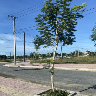 bán đất nền nam Đà Nẵng cách Hội An 3km