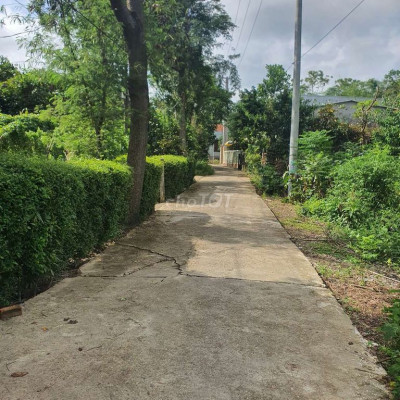 Đất Điện Ngọc rẻ. View đồng mát rượi