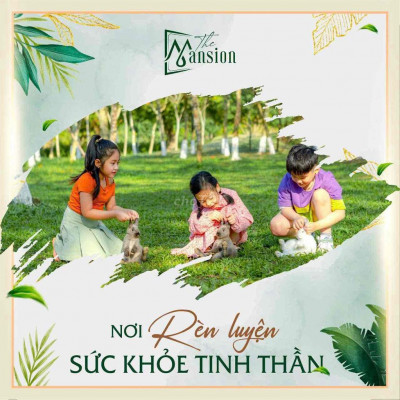 ĐẤT NỀN SỤP HẦM CHỢ LAI NGHI GIÁ CHỈ 7x25 ĐƯỜNG TRẦN THỦ ĐỘ