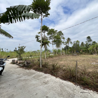 ĐẤT THỊ TRẤN ĐÔNG PHÚ - QUẾ SƠN GIÁ RẺ