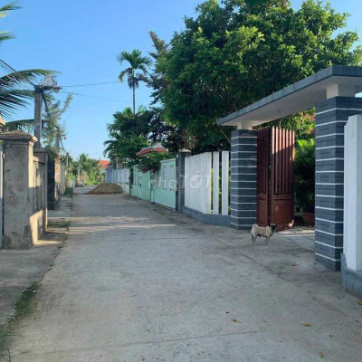 Bán lô bê tông Tứ Ngân cách Phạm Như Xương 20m.