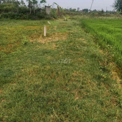 Đất Duy Xuyên giá rẻ