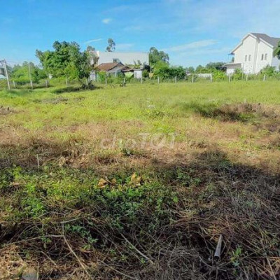 Đất diện tích lớn, thích hợp làm nhà vườn