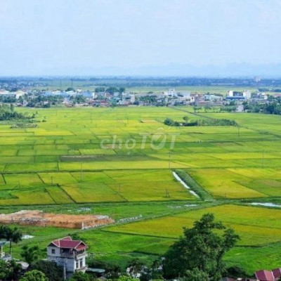 BÁN ĐẤT TRỒNG CÂY TẠI DUY PHÚ, QN