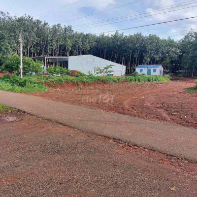 Chính Chủ cần tiền bán lỗ