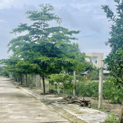 Bán lô đất bê tông chính Dũng Sĩ Điện Ngọc,cách đường 25m,Gía đầu tư.