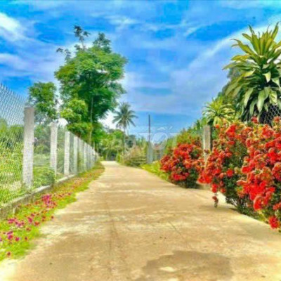 Dọc Tuyến Đường QL 14B , Qua Nhà Máy Gạch Đại Lộc, Hoà Khương Lên 10km