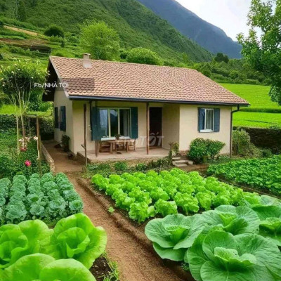 Bán đất tx điện bàn quảng nam 82,5m 359 triệu