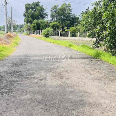 BÁN ĐẤT TRỒNG RỪNG SẢN XUẤT TẠI DUY PHÚ, DUY XUYÊN, QUẢNG NAM