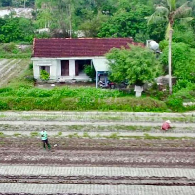 gấp gấp Sập hầm gấp gấp Nhà vườn 1360m có 300ở có nhà  cách biển 5km