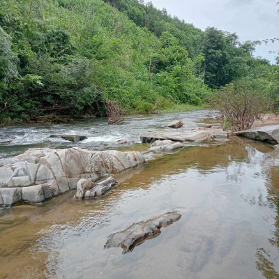 Bán đất vườn Đông Giang 6443 m2 đất CLN mặt tiền đường ql14g