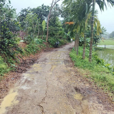 chính chủ cần bán gấp đất vườn.Dt 6500m2 cln mặt tiền đường bê tông