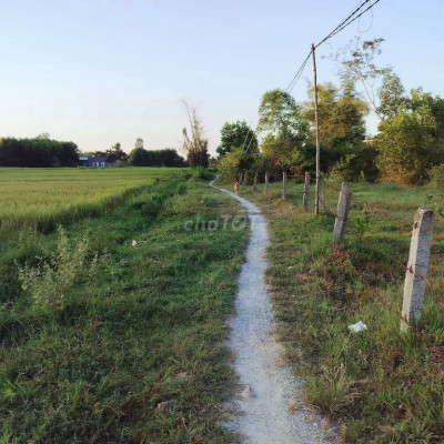 chính Chủ cần bán nhà vườn 3000m2 có 300 đất ở .hàng rào thép gai bao