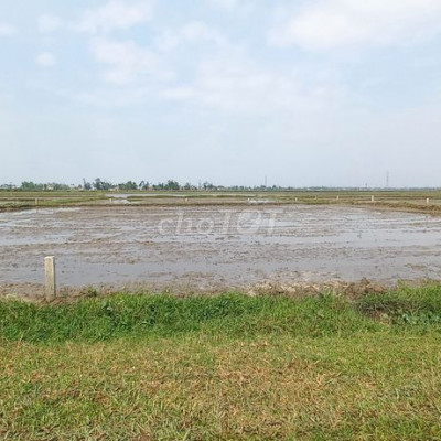 CẦN BÁN ĐẤT [GẤP]