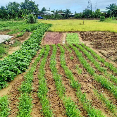 Bán nhanh lô đất trung tâm Nam Phước
