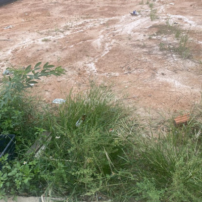 Chính chủ cần tiền bán gấp lô đất ở tại Ái Nghĩa, Đại Lộc, đường ô tô