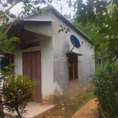 chuyển hết vào Sài Gòn cần nhượng lại  nhà vườn 1719m² mặt tiền hơn 50