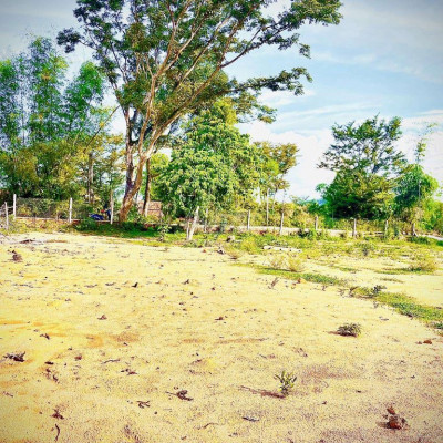 Cần bán 10.000 m2 đất vườn có 300 đất ở đường bê tông ô tô vào tận nơi