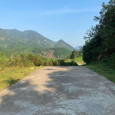 Chính chủ bán  2ha đất rừng  đại Sơn đại lộc cách đà nẵng 50km