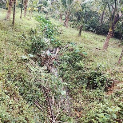 Bán Vườn  cây ăn quả ôm suối 1.5ha cách thị trấn tiên kỳ 1km tiênPhước