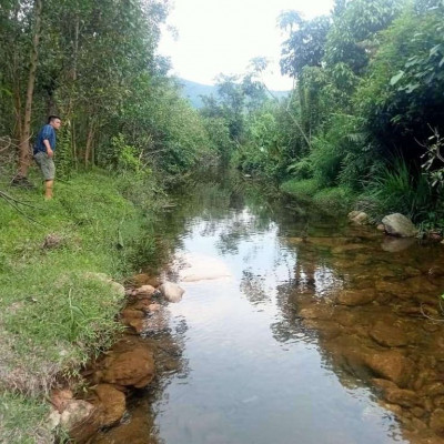 Tiên Phước Quảng Nam views suối .Chính chủ cần bán 2.2ha 22.000m2