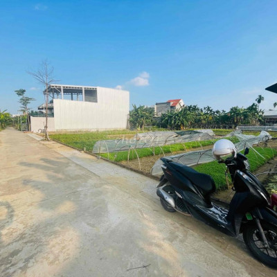 Đất Ái Nghĩa-Ngang 7m5/lô-Sẵn sổ 200m2 - Ngay Trung tâm