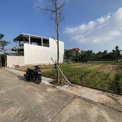 Đất trung tâm thị trấn Ái Nghĩa có sổ 150m2 (7.5x20) 600tr sở hữu
